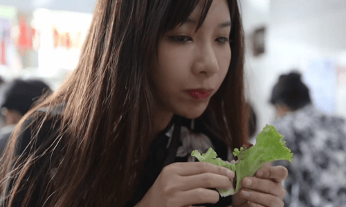 Vlog du lịch Hà Nội của em diễn viên Đài Loan Vlog du lịch Hà Nội của em diễn viên Đài Loan